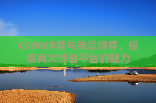 CSDN博客与新浪博客,探索两大博客平台的魅力